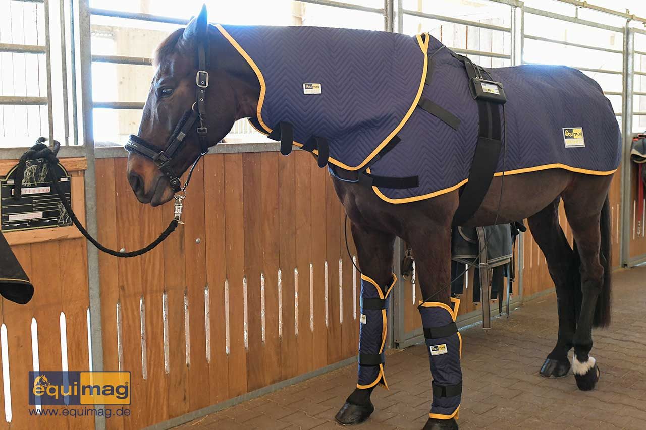 Equimag Basis Set