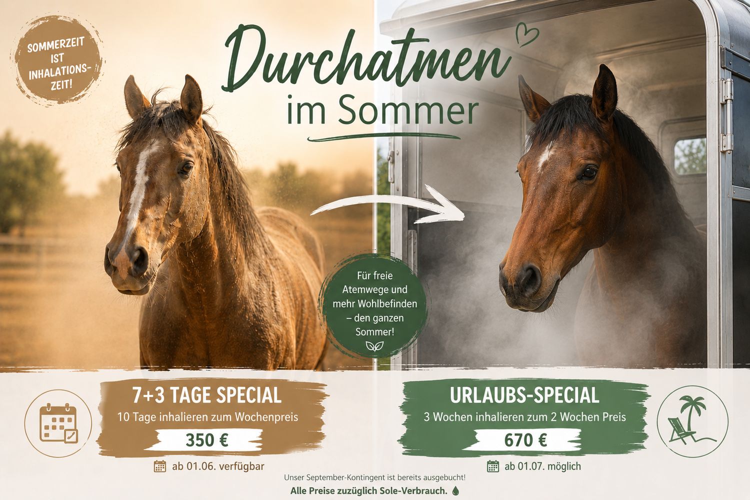 "Urlaubsvertretung" für drei Wochen zum zwei Wochen Preis