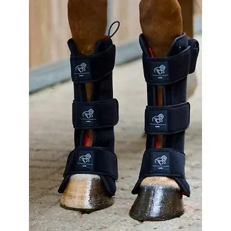 LuxMy Horse Rotlicht (Nahinfarot) Hoch mieten