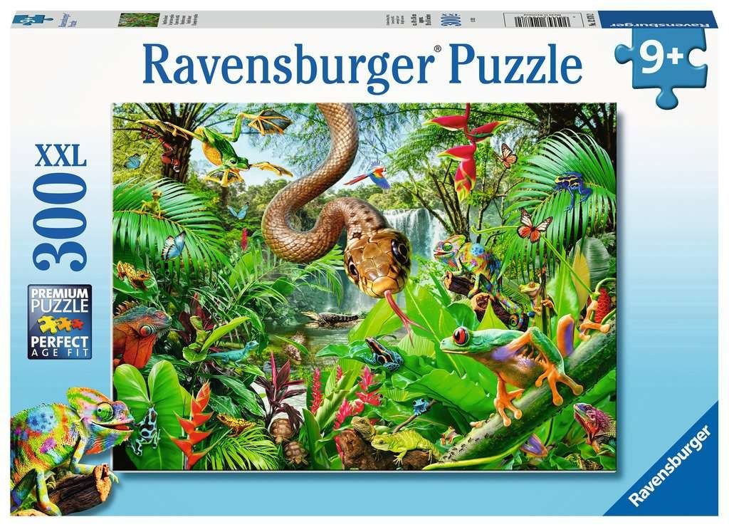 Ravens 300XXL - Le parc des reptiles