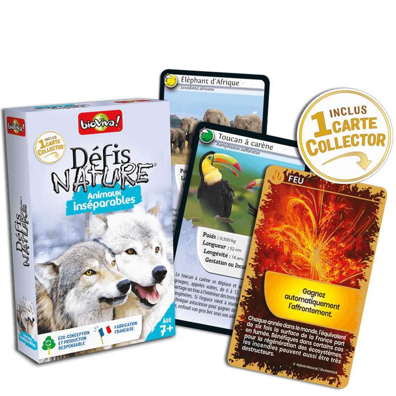 Défis Nature - Animaux Inséparables
