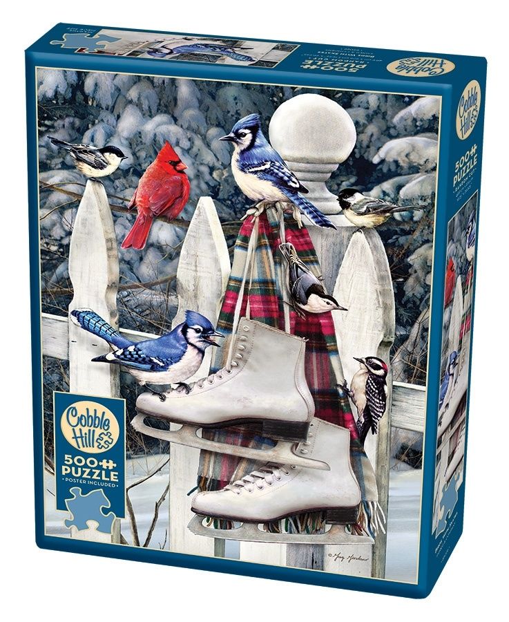 Cobble Hill 500 - birds with skates