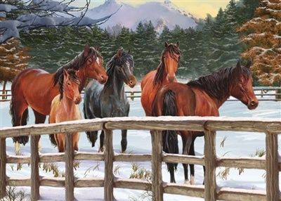 Cobble Hill 35 - Snowy Pasture (Tray)