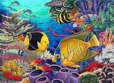 Royal &amp; Langnickel – Painting by Numbers Junior Large - Récif des Caraïbes