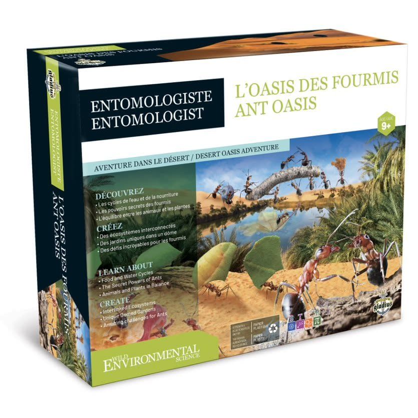 *****Gladius - WES Entomologiste - L'oasis des fourmis