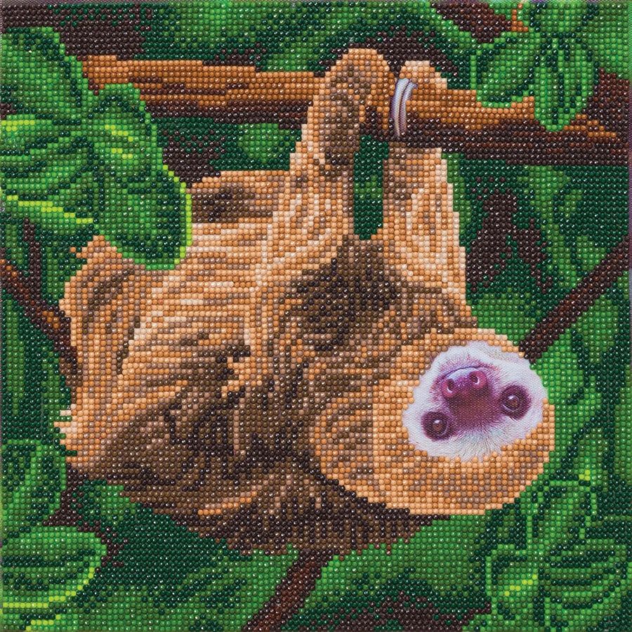 Craft Buddy - Crystal Art - Two Toed Sloth (30 x 30 cm)