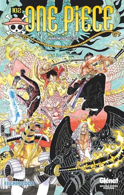 Manga - One Piece Tome 102