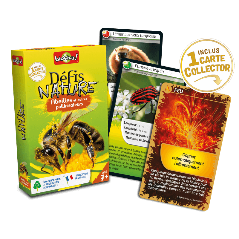 Défis Nature - Abeilles et autres pollinisateurs