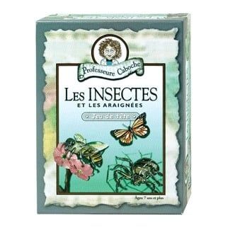 Professeure Caboche - Les insectes et les araignées