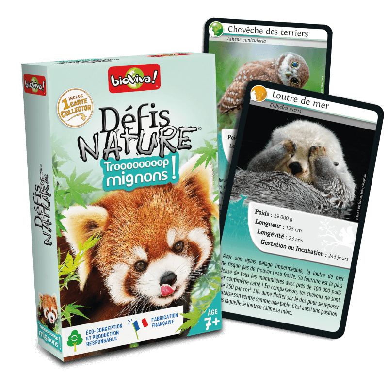 Défis Nature -  Trop mignons!