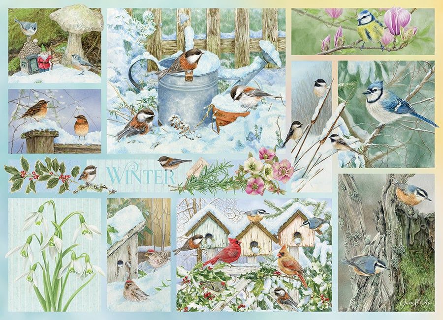 Cobble Hill 500 - Garden Birds in Winter
