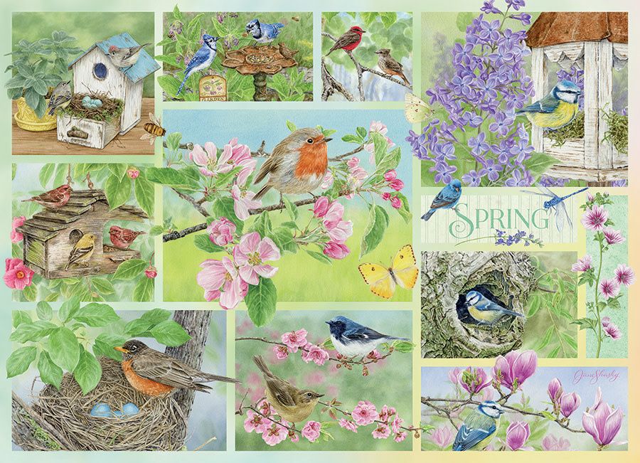 Cobble Hill 500 - Garden Birds in Spring
