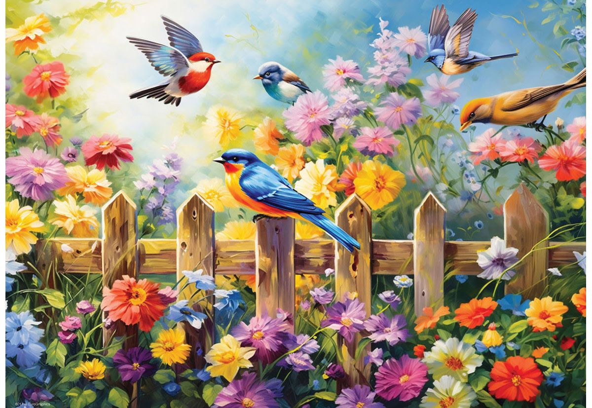 Eurographics 24 - Oiseaux de jardin