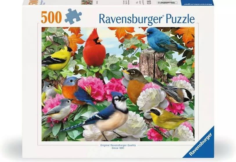 Ravens 500 - Garden Birds