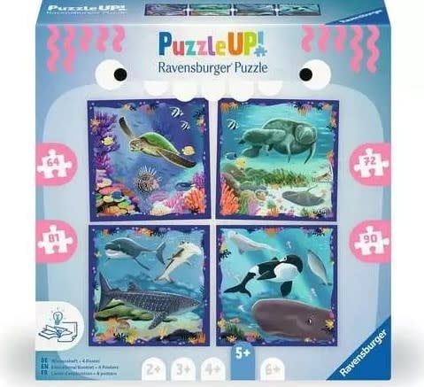Ravens 64 - 72 - 81 - 90 - Puzzle up!