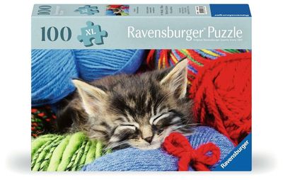 Ravens 100XL - Chaton dans la laine