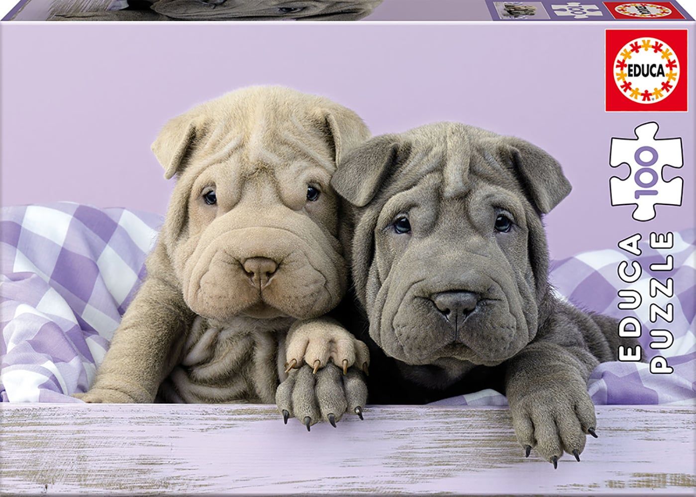 Educa 100 - Bonjour!