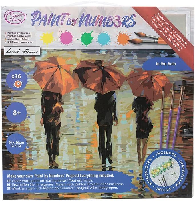 Medium Paint by Numbers In the Rain