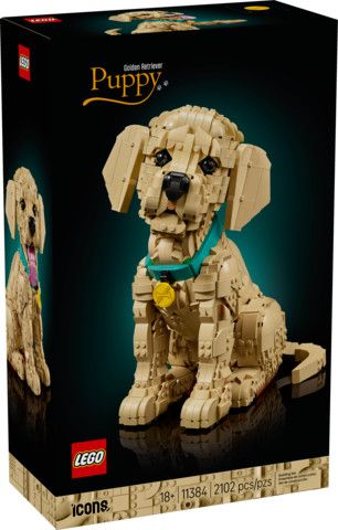 Lego 11384  Icons - Le chiot Golden Retriever