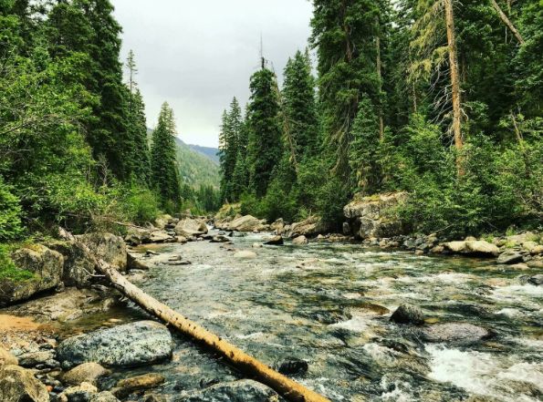 Guide to Crew Leadership for Ecological Restoration