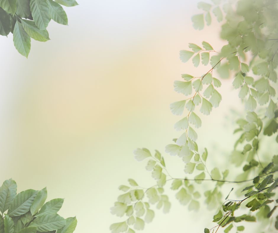 3 Day Retreat (Per Person)