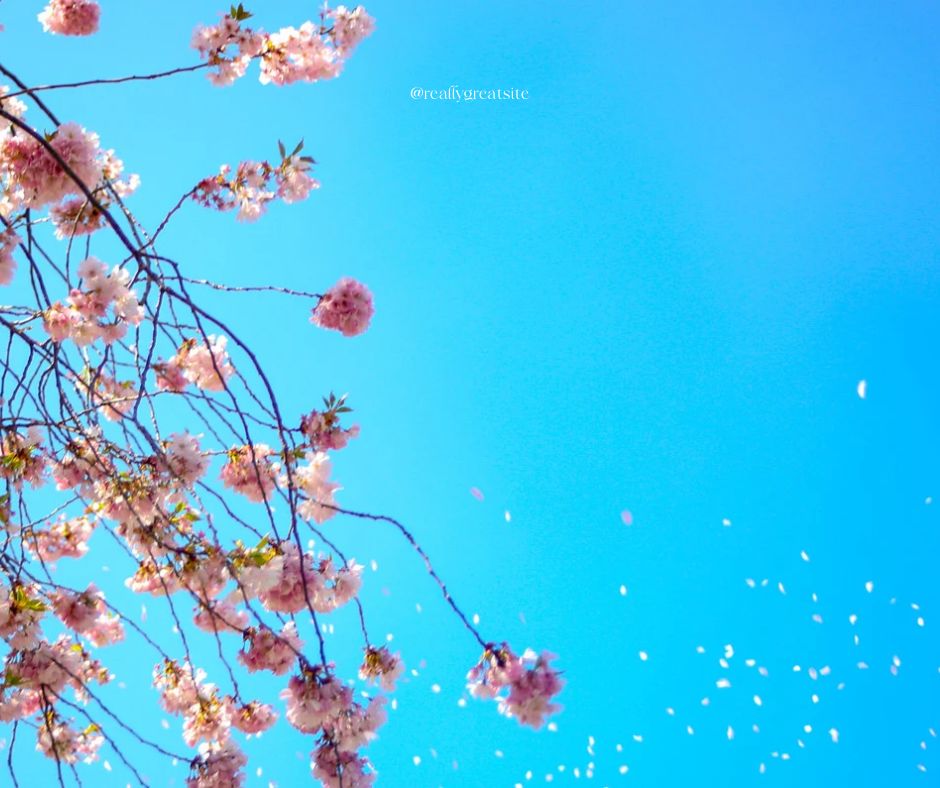 3 Day Deposit  (Due 2 Months Before Retreat)