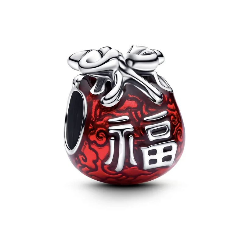 Lucky Bag Charm-793620C01