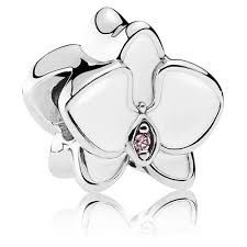 White OrchidOrchid silver charm - 792074EN12