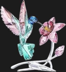 Hummingbird - 5461872