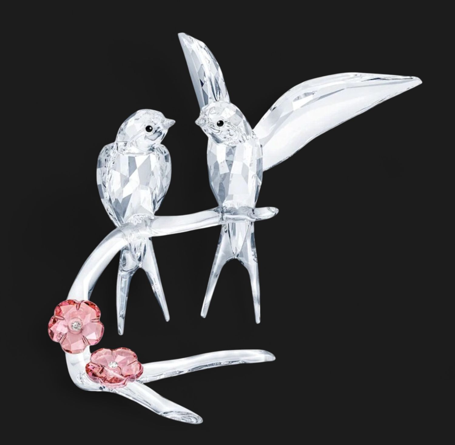 Swallows (Feathered Beauties) 5475566