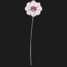 Garden Tales: Cosmos Flower Pink - 5557801