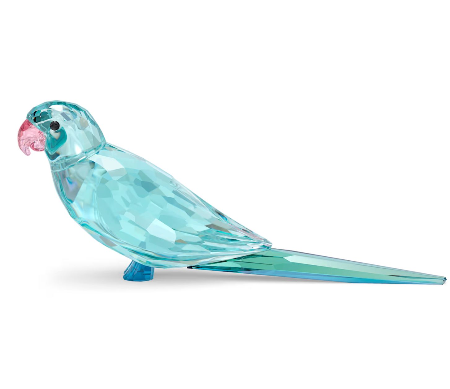 Jungle Beats Blue Parakeet-5574519