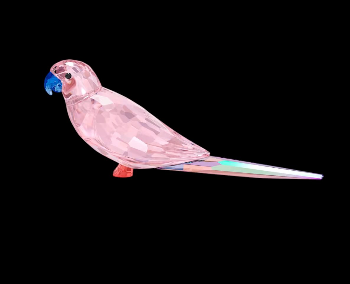 Jungle Beats Pink Parakeet Cha Cha-5557848
