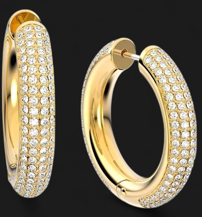 Dextera Hoop Earring (Medium)  - 5618305