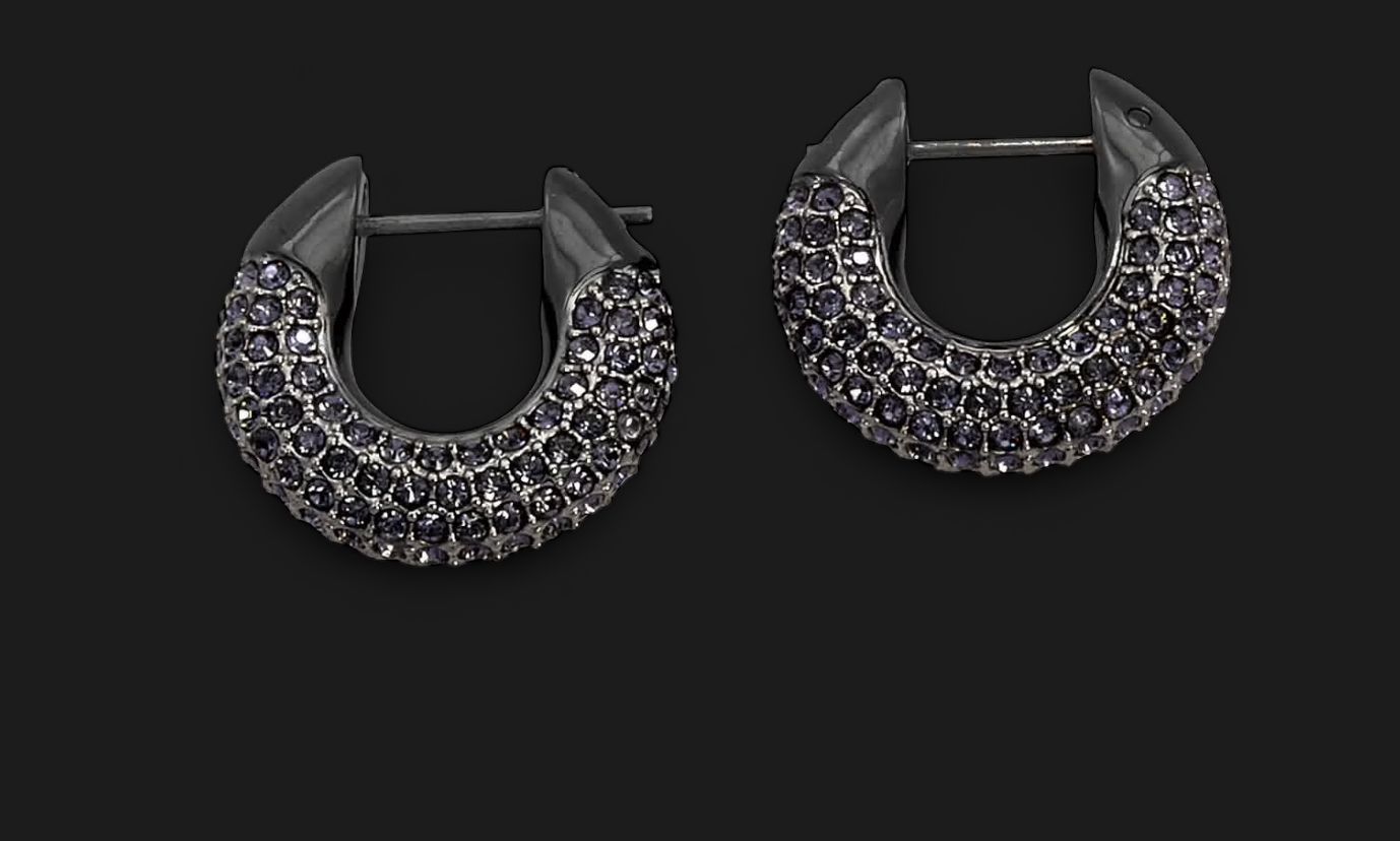 Dextera Hoop Earrings - 5620222