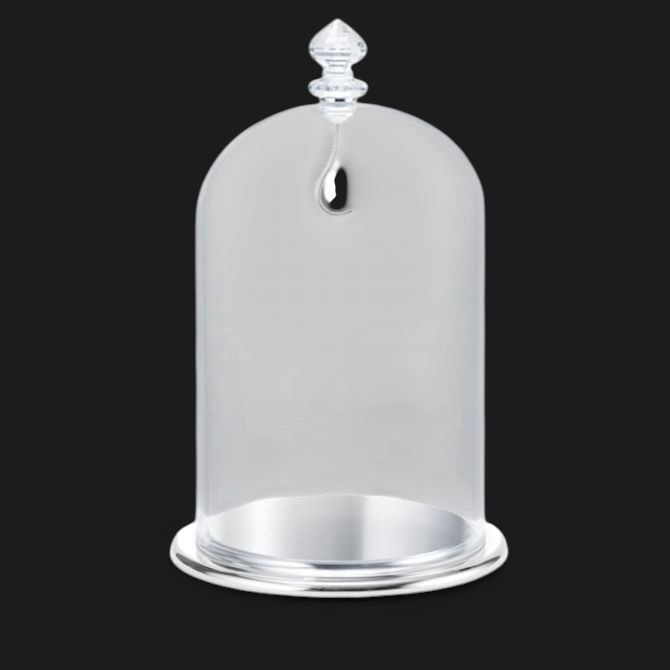 Bell Jar Display, Large- 5527606