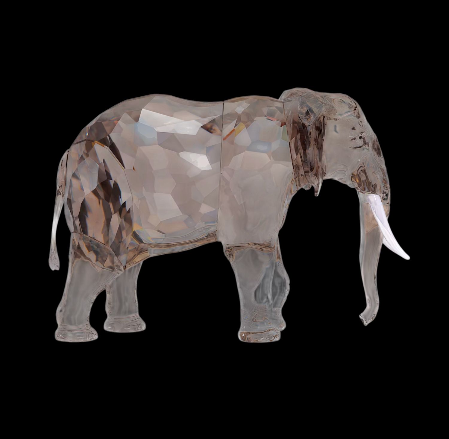 Elegance of Africa SCS Annual Edition 2022 Elephant Fayola-5604555