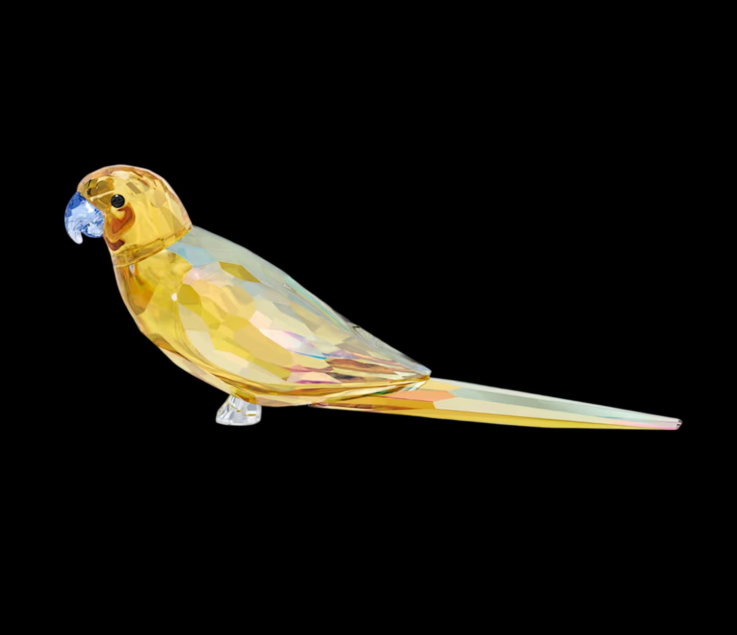 Jungle Beats Yellow Parakeet Lechee-5619217
