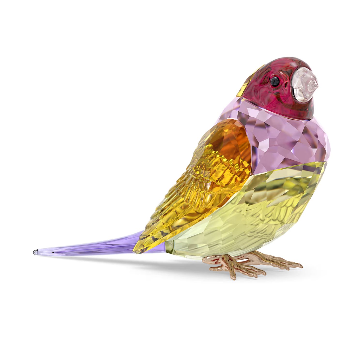Idyllia SCS Gouldian Finch Large-5689265