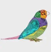5689266  Idyllia SCS Gouldian Finch, Small