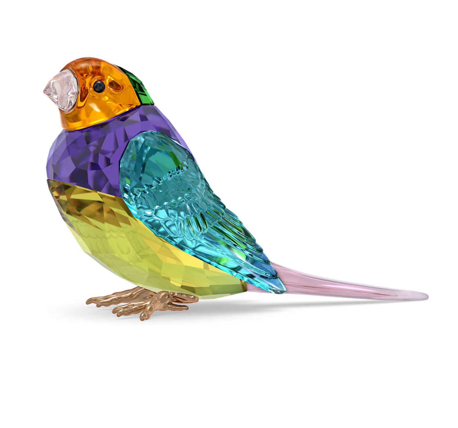 Idyllia SCS Gouldian Finch Small-5689266