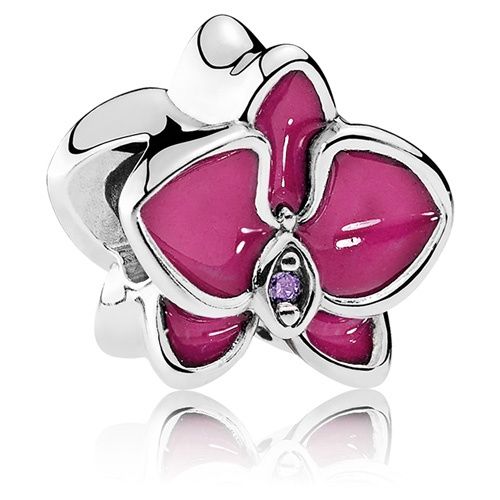 Orchid silver charm - 792074EN69