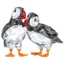 5472475 Atlantic Puffins
