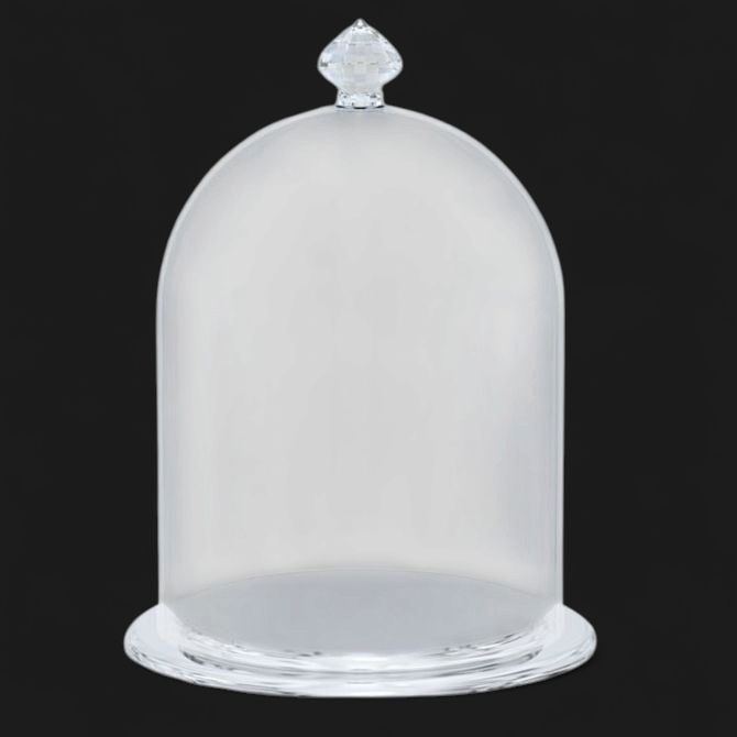 Bell Jar Display (Small)-5553155