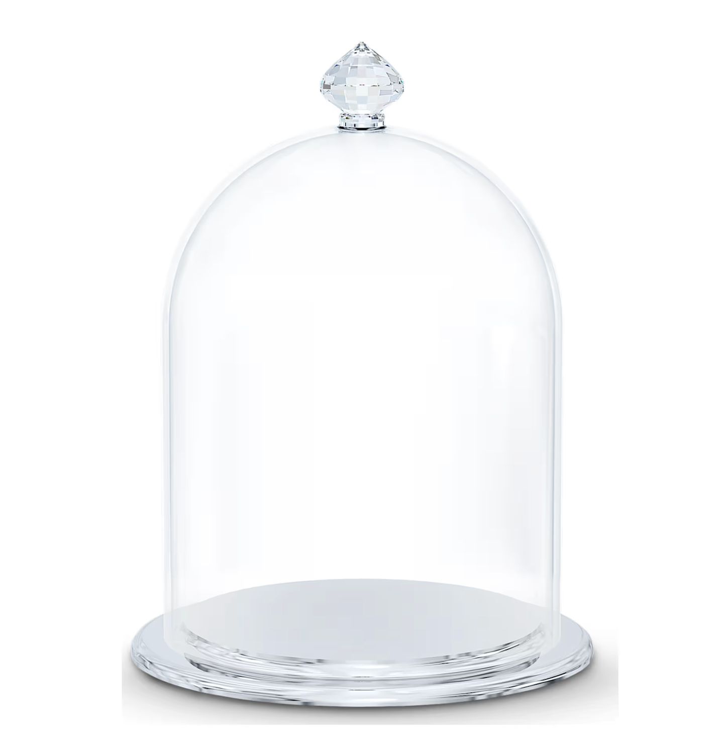 Bell Jar Display (Small)-5553155