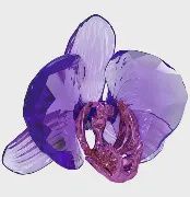 5669354  Idyllia SCS Orchid Petal