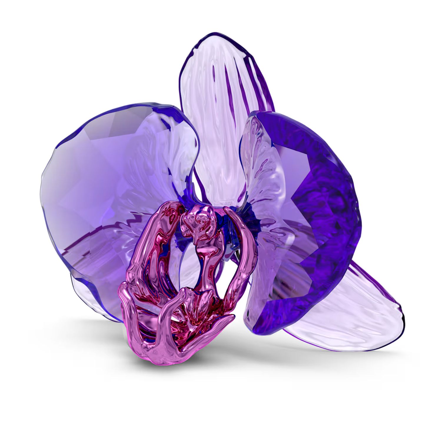 Idyllia SCS Orchid Petal-5669354