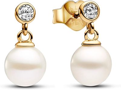 Treated Freshwater Cultured Pearl &amp; Stone Drop Earrings - 263153C01