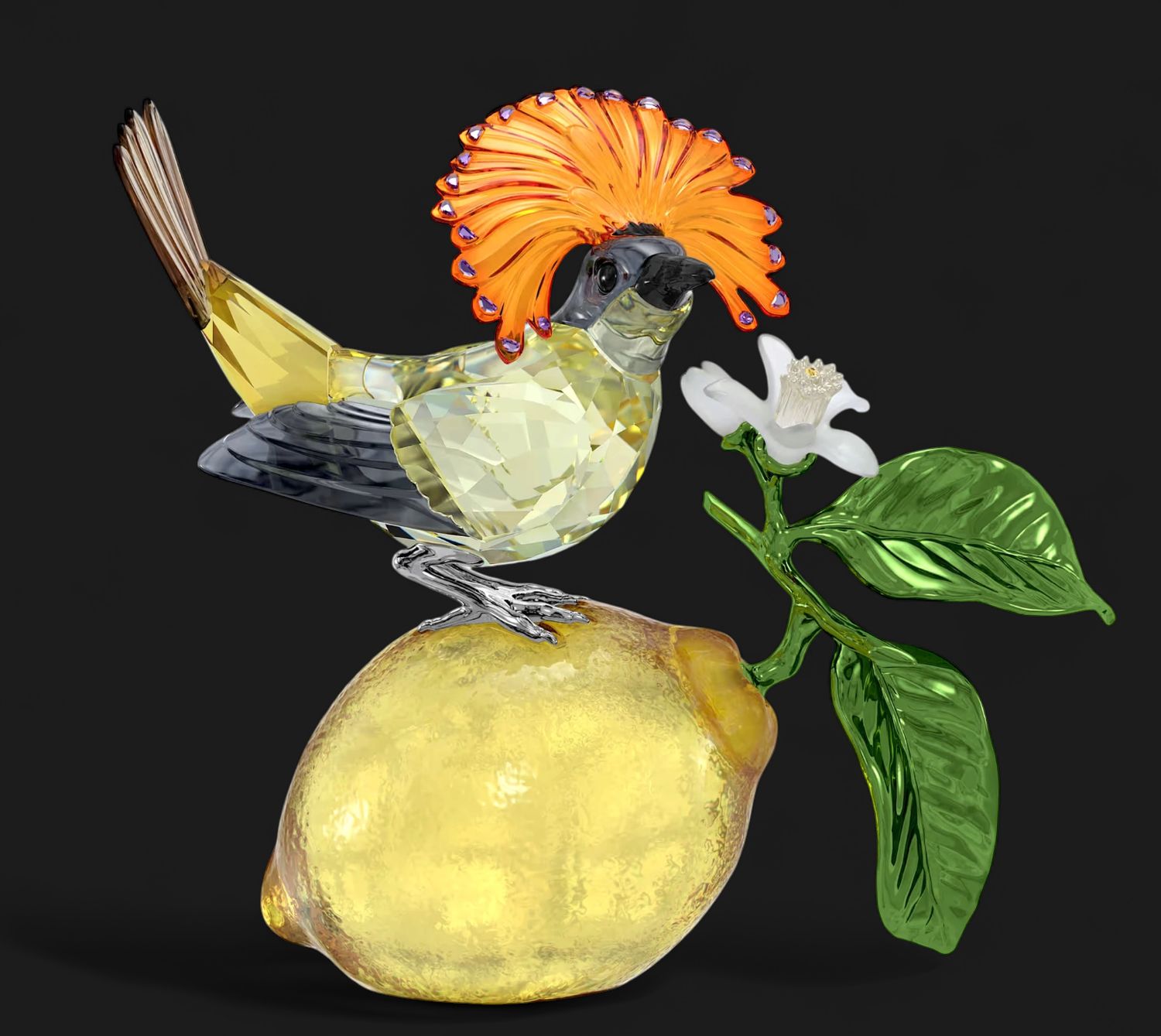 Idyllia Royal Flycatcher-5651811