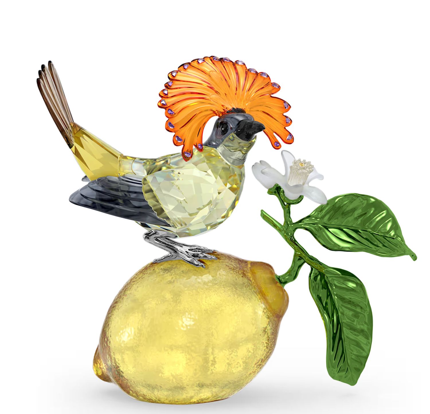 Idyllia Royal Flycatcher-5651811
